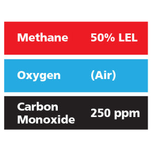 Gasco Multi-Gas 300: 50% LEL Methane, 250 ppm Carbon Monoxide, Balance Air