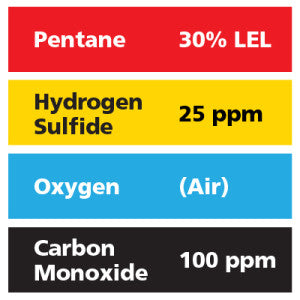 Gasco Multi-Gas 408: 30% LEL Pentane, 100 ppm Carbon Monoxide, 25 ppm Hydrogen Sulfide, Balance Air