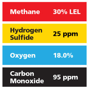 Gasco Multi-Gas 415: 30% LEL Methane, 18% Oxygen, 95 ppm Carbon Monoxide, 25 ppm Hydrogen Sulfide, Balance Nitrogen