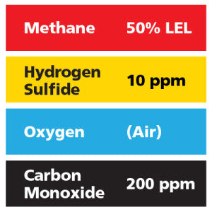 Gasco Multi-Gas 419: 50% LEL Methane, 200 ppm Carbon Monoxide, 10 ppm Hydrogen Sulfide, Balance Air