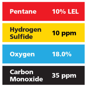 Gasco Multi-Gas 425: 10% LEL Pentane, 18% Oxygen, 35 ppm Carbon Monoxide, 10 ppm Hydrogen Sulfide, Balance Nitrogen