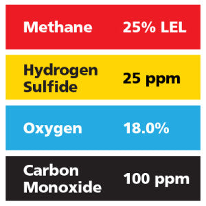 Gasco Multi-Gas 427: 25% LEL Methane, 18% Oxygen, 100 ppm Carbon Monoxide, 25 ppm Hydrogen Sulfide, Balance Nitrogen