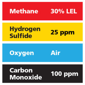 Gasco Multi-Gas 435: 30% LEL Methane, 100 ppm Carbon Monoxide, 25 ppm Hydrogen Sulfide, Balance Air