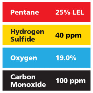 Gasco Multi-Gas 456: 25% LEL Pentane, 19% Oxygen, 100 ppm Carbon Monoxide, 40 ppm Hydrogen Sulfide, Balance Nitrogen