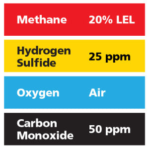 Gasco Multi-Gas 476S: 20% LEL Methane, 50 ppm Carbon Monoxide, 25 ppm Hydrogen Sulfide, Balance Air